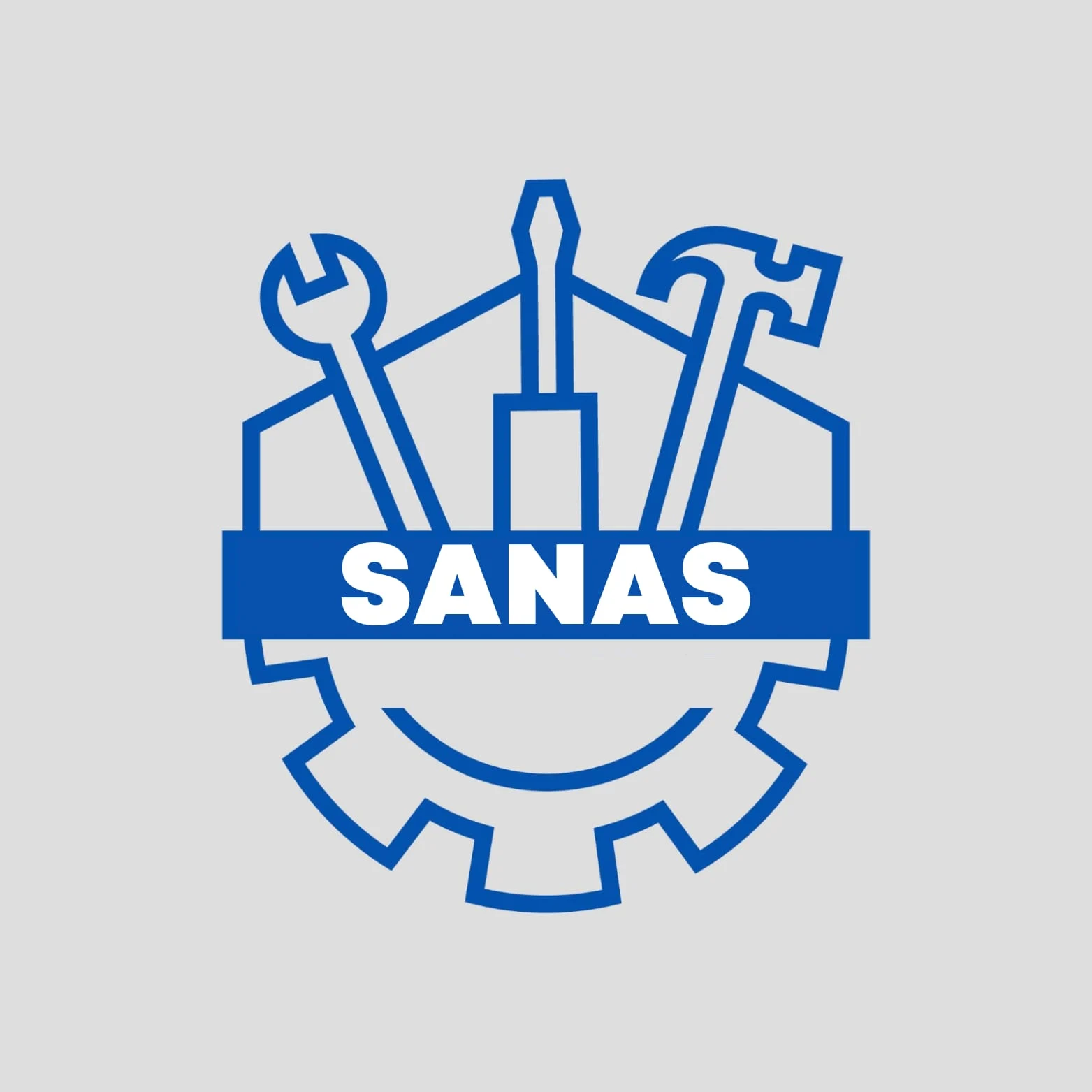 Sanas BMT Logo